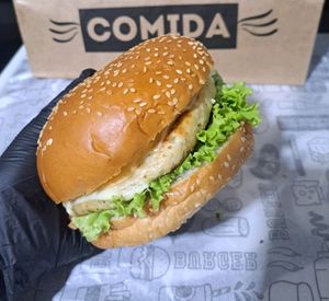 imagem do produto X Frango