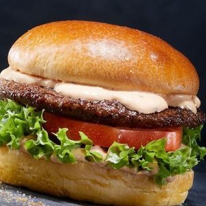 imagem do produto X-SALADA