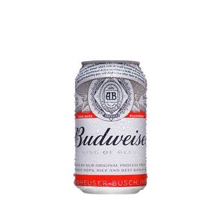 imagem do produto Cerveja Budweiser 350ml