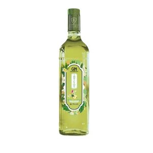 imagem do produto Gin com Maçã Verde Invictus 900ml