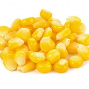 imagem do produto Milho 