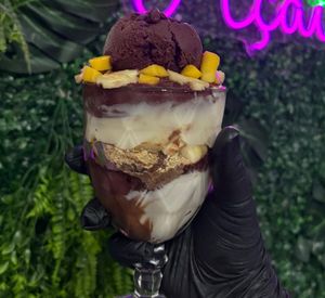 imagem do produto Açaí Premium de 500g