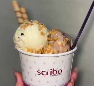 imagem do produto Promoção compre 1 Sorvete 300ml e ganhe outro.