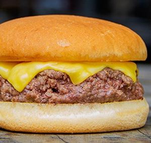 imagem do produto  x burguer - classico