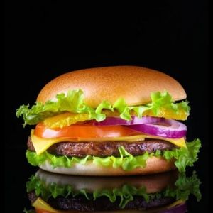 imagem do produto X-salada 