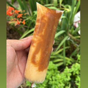 imagem do produto Geladinho de Doce de leite