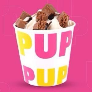 imagem do produto Up Max de Ninho c/Oreo