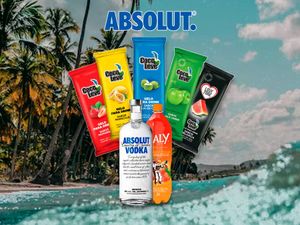 imagem do produto Combo Abs0lut + Energético 2l + Gelo