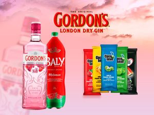 imagem do produto Combo Gordons + Energético 2l + Gelo + Frutas