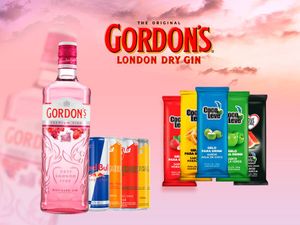 imagem do produto Combo Gordons + Redbull + Gelo + Frutas