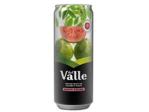 imagem do produto Suco Del Valle 290ml - Goiaba