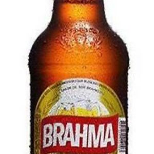imagem do produto Brahma litrinho