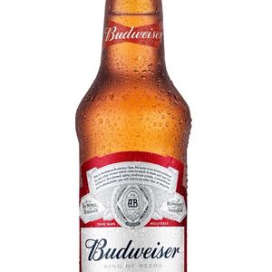 imagem do produto Budweiser long nem