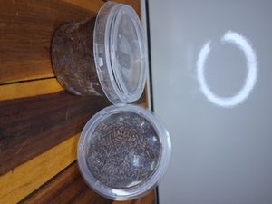 imagem do produto Chocolate 