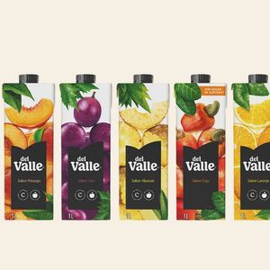 imagem do produto Suco Dell valle 1L