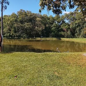 imagem do produto Pesque solte infantil 