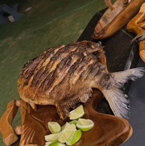 imagem do produto Peixe Assado na Brasa