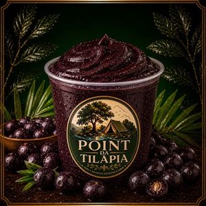 imagem do produto Açaí puro
