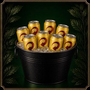 imagem do produto Combo de Skol