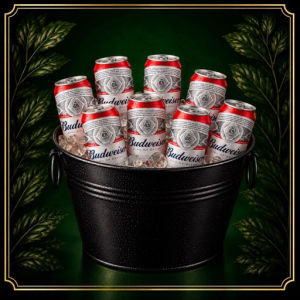 imagem do produto Combo de Budweiser