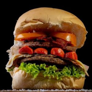 imagem do produto X-Tudo