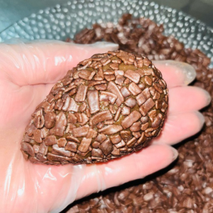 imagem do produto Coxinha de Brigadeiro