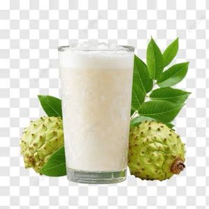 imagem do produto Suco de graviola