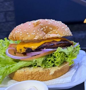 imagem do produto Burguer salada 