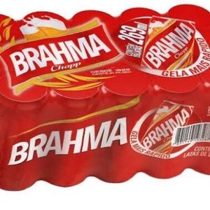 imagem do produto Fardo Brahma/Skol 269ml