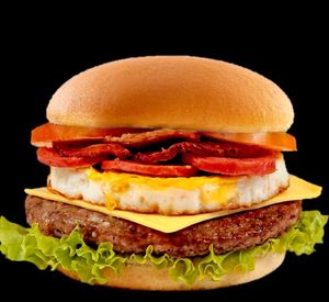 imagem do produto X-Tudo