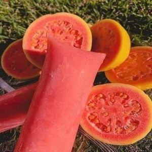 imagem do produto Geladinho de Goiaba 🍑