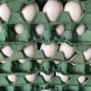 imagem do produto Ovos