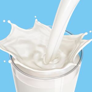 imagem do produto Leite 70ml