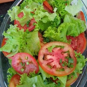 imagem do produto Salada de alface 