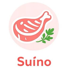 imagem do produto Pernil especial Senza, batata doce, arroz e feijão. 