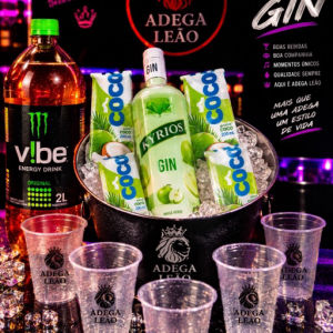 imagem do produto Combo gin kiryos