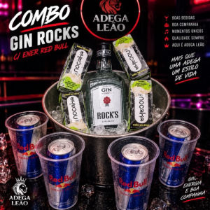 imagem do produto Combo gin rocks c/ energético Red Bull