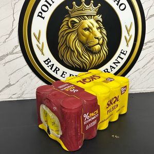 imagem do produto Skol 269 ml c 15 