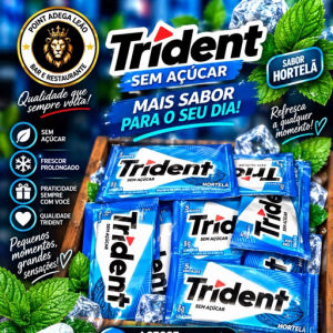 imagem do produto Trident Hortelã