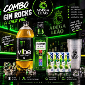 imagem do produto Combo de passaport tradicional c/ energético vibe