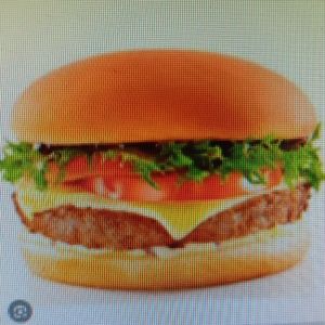 imagem do produto Lanche x-burguer com fritas 