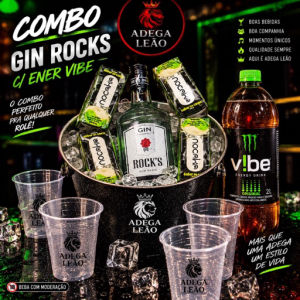 imagem do produto Combo de gin rocks c/energético vibe