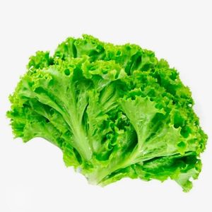 imagem do produto Alface