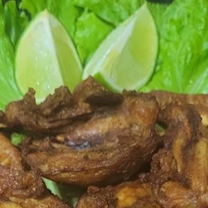 imagem do produto Raquete de Frango