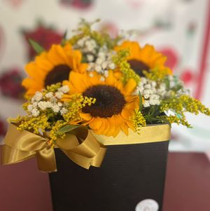 imagem do produto Box com 03 Girassóis