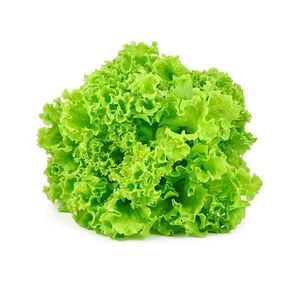 imagem do produto Alface