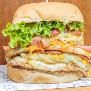 imagem do produto Frango-Tudo 