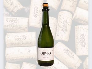 imagem do produto Espumante Moscatel Branco Linha Óbvio | Vinícola Terra Fiel