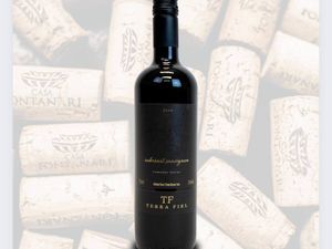 imagem do produto Vinho Fino Cabernet Sauvignon Demi-Seco | Vinícola Terra Fiel