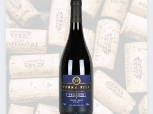 imagem do produto Vinho fino Terroir Pinot Noir | Vinícola Terra fiel